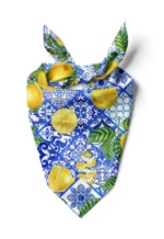 Tua Bandana - TU4178